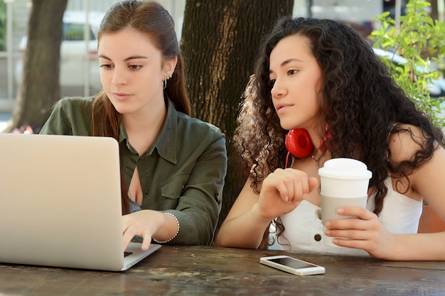 Amies étudient avec un ordinateur portable dans un café