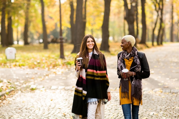 Amies multiraciales marchant dans le parc en automne