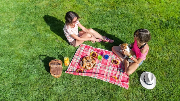 Amis ayant pique-nique dans le parc jeunes filles avec chien se détendre sur l'herbe et manger des aliments sains