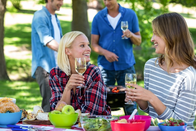 Amis ayant un pique-nique avec vin et barbecue