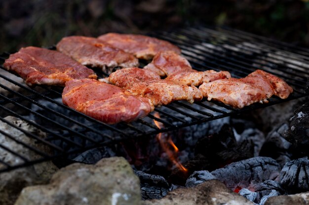 Amis cuisinant à leur camping d'hiver