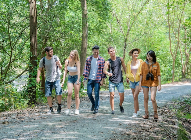 Des amis se promènent dans les bois printaniers ensoleillés, parlent et rient, tous sont excités et les sentiers de la jungle