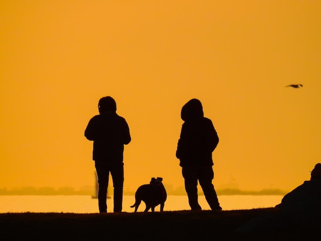 Photo des amis en silhouette debout avec un chien au bord du lac contre un ciel orange clair