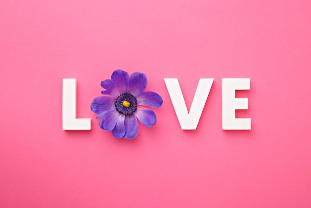L'amour dans les blocs d'alphabet