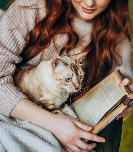 Amour pour les chats Une femme est assise sur une chaise à la maison et tient son chat Bengal bien-aimé dans ses bras