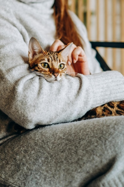 Amour pour les chats Une femme est assise sur une chaise à la maison et tient son chat Bengal bien-aimé dans ses bras