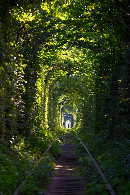 Amoureux au tunnel de l'Amour à l'Ukraine