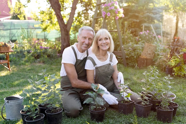 Les amoureux du jardin heureux les conjoints âgés jardinant ensemble la transplantation de plantes à partir de pots embrassant et