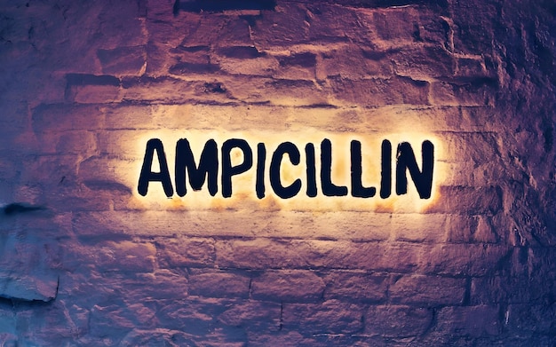 Ampicilline