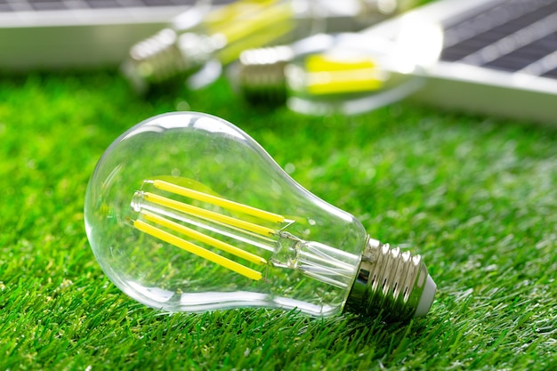 Ampoule écoénergétique couchée sur l'herbe