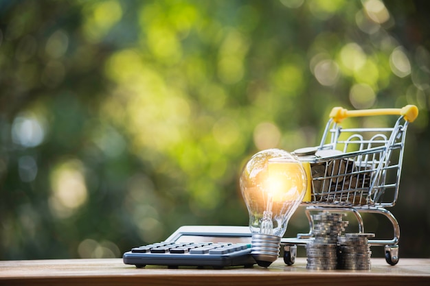 Ampoule à économie d'énergie avec panier d'achat concept financier et commercial