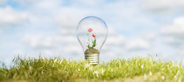 Ampoule avec des fleurs à l'intérieur sur l'herbe