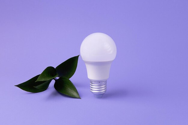 Photo ampoule led avec concept d'énergie verte leafsgreen frais