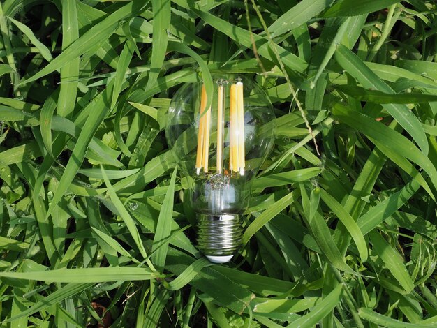 Ampoule led verte moderne dans l'herbe