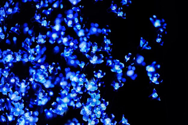 Ampoules bleues sous forme de fleurs avec lumières bokeh