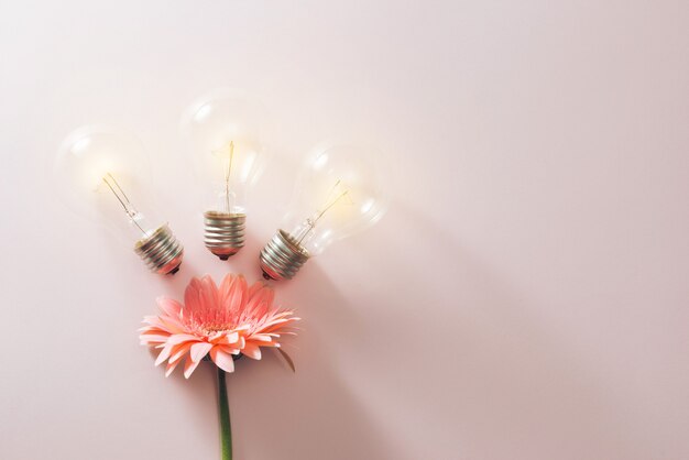 Ampoules pour économiser de l'énergie avec des fleurs autour sur fond rose