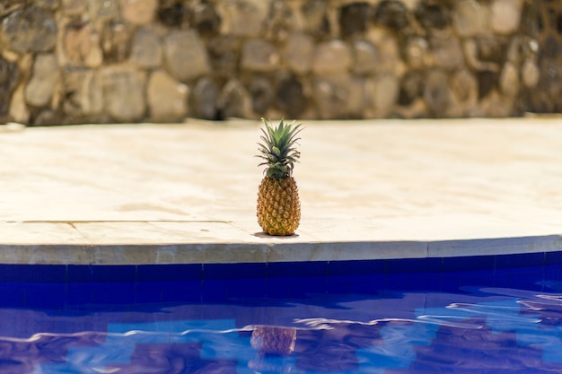 Ananas au bord de la piscine