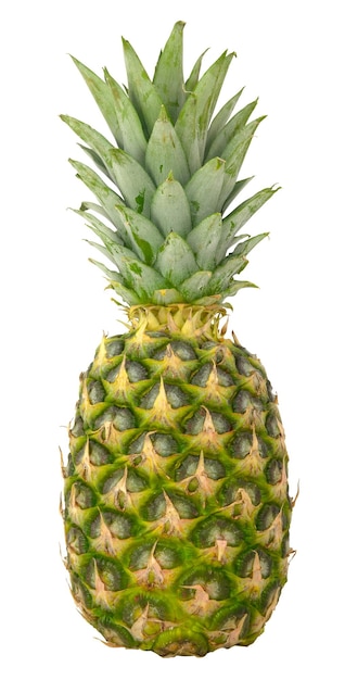 Ananas bio frais isolé sur fond blanc