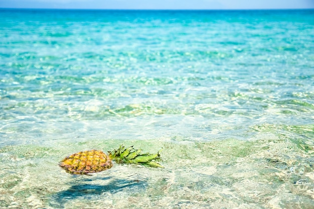 Photo un ananas dans l'eau au bord de la mer en week-end nature