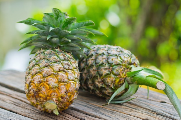 ananas dans la nature