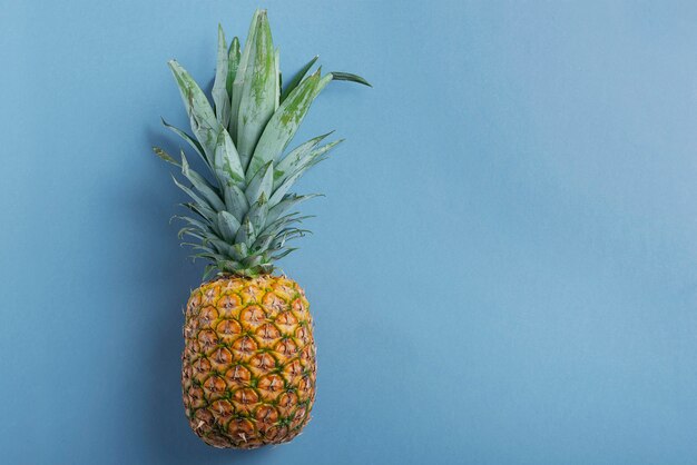 Ananas doux frais sur le mur bleu