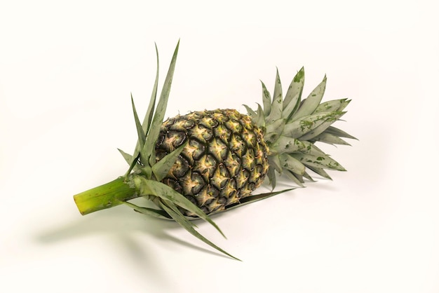 L'ananas est un fruit qui a une saveur aromatique douce et est très savoureux