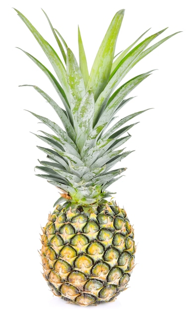 Ananas sur fond blanc