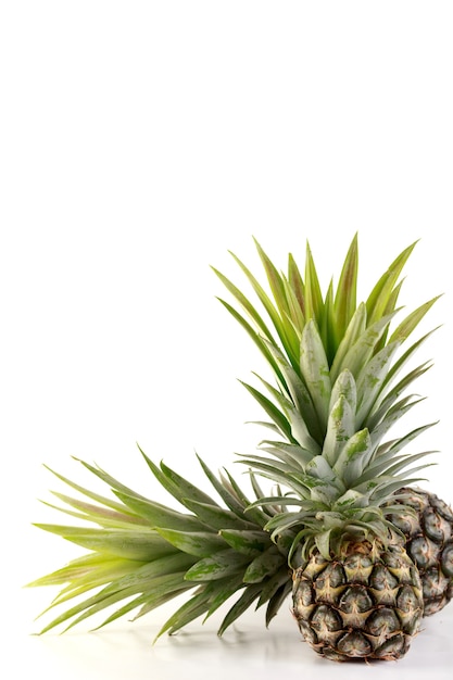 ananas sur fond blanc