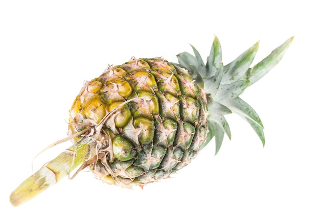 Ananas sur fond blanc.