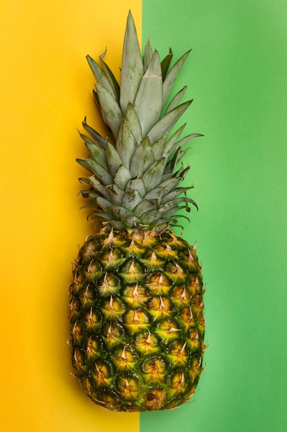 Ananas sur fond coloré