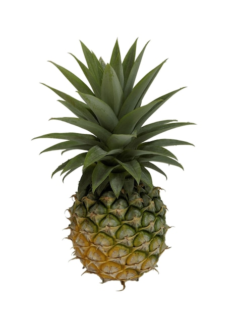 Un ananas sur fond isolé