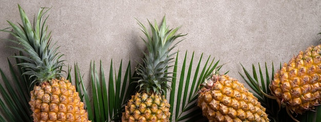 Ananas frais avec des feuilles tropicales sur fond gris