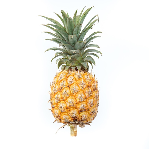 Ananas frais sur fond blanc