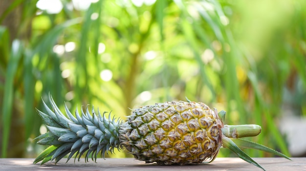 Ananas frais sur la nature - Gros plan de fruits tropicaux d&#39;ananas