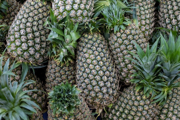 Les ananas frais sont vendus au supermarché.