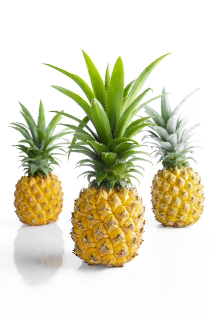 Ananas frais