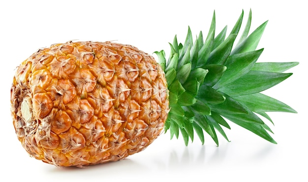 Un ananas isolé sur blanc