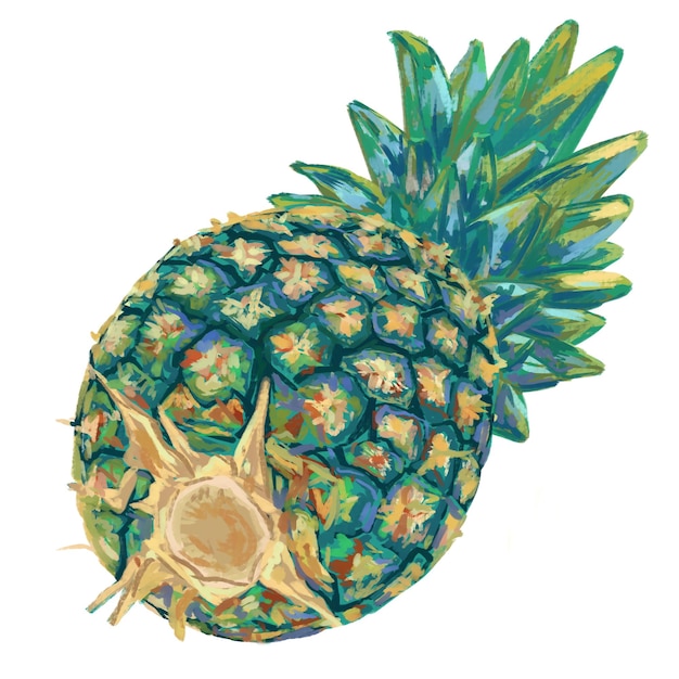 Ananas isolé sur peinture numérique blanche