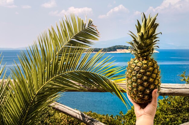 Ananas à la main et île