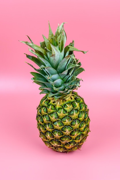 Ananas mûr entier sur le fond rose