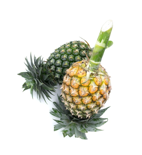Photo ananas mûr sur fond blanc. aliments sains aux fruits ananas isolés