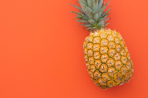 Ananas mûr sur fond rouge Vacances d'été