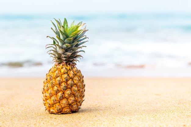 Ananas mûr sur le sable doré près de l'océan