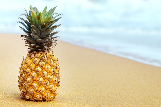 Ananas mûr sur le sable doré près de l'océan