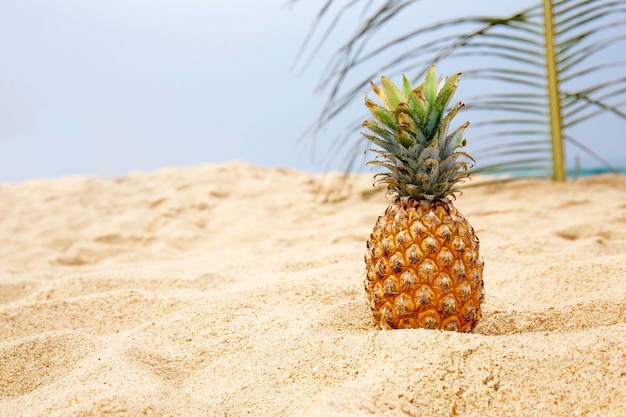 Ananas sur la plage avec une feuille de palmier