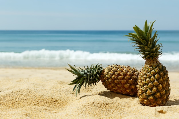 Ananas sur la plage