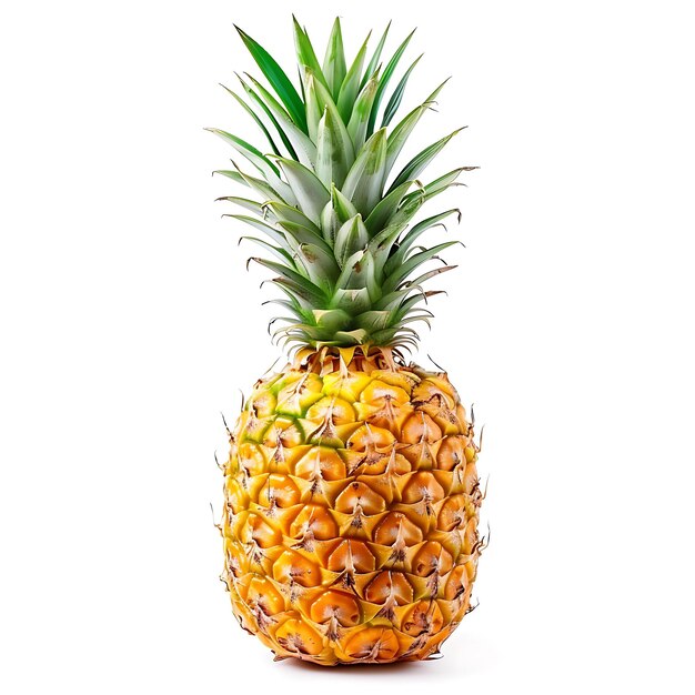 Photo un ananas avec une tige verte et un fond blanc