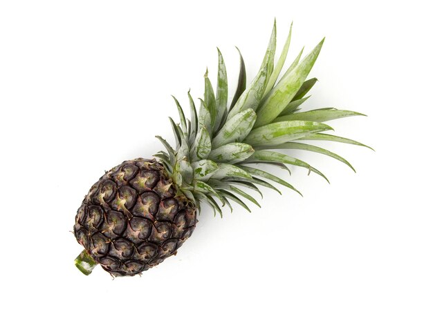 Ananas vert frais isolé sur fond blanc pour la conception d'annonces de cuisine