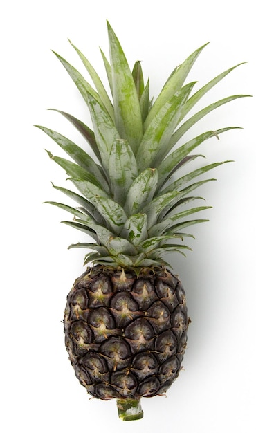 Un ananas vert isolé sur fond blanc