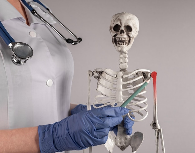 Anatomie du squelette médical de la douleur osseuse de l'épaule
